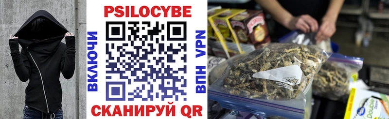купить наркотик  Мензелинск  Галлюциногенные грибы Psilocybe 