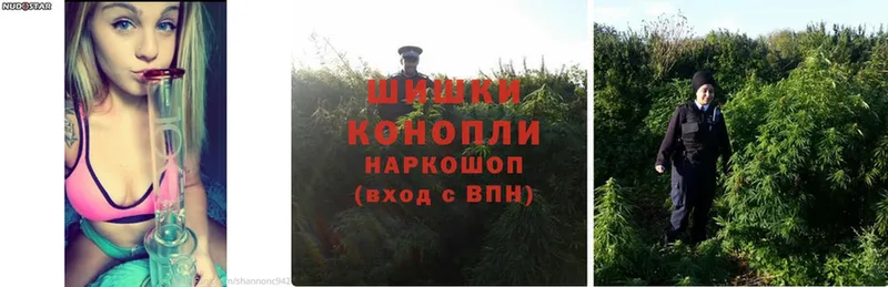 Каннабис SATIVA & INDICA  гидра   Мензелинск  где купить наркоту 